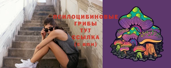 круглые Карпинск