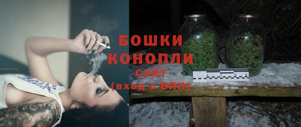 круглые Карпинск