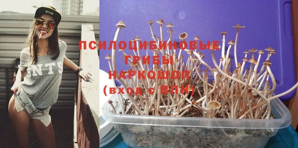 гашик Карталы