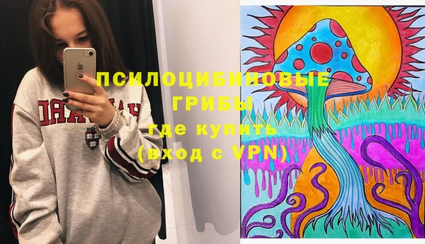 гашик Карталы