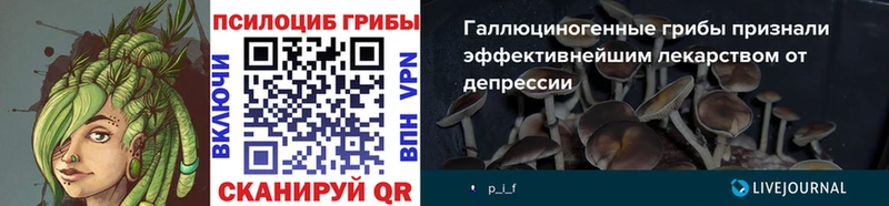 Купить закладки  Шарыпово  Галлюциногенные грибы прущие грибы 
